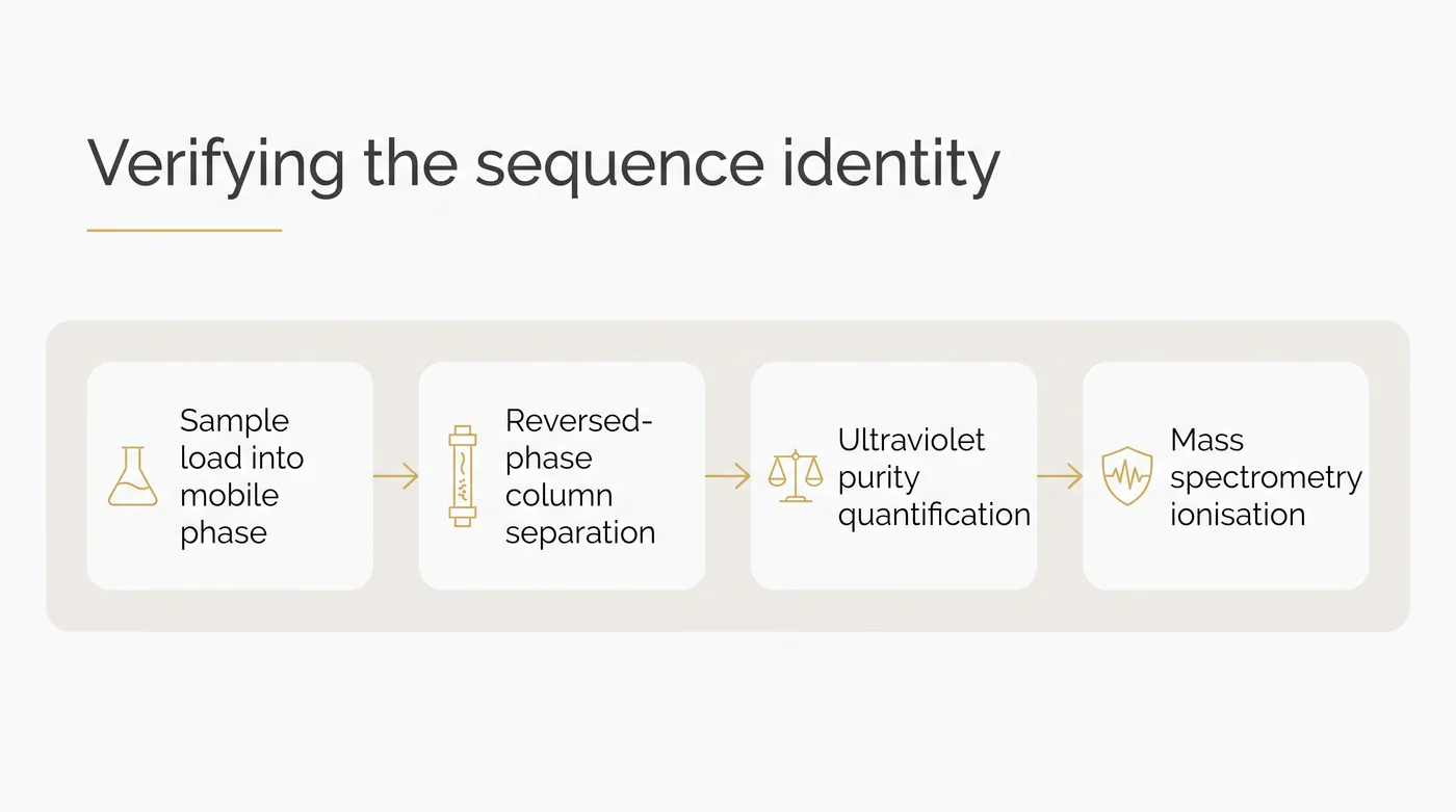 A flowchart detailing the steps of liquid chromatography and mass spectrometry to verify a peptide sample.