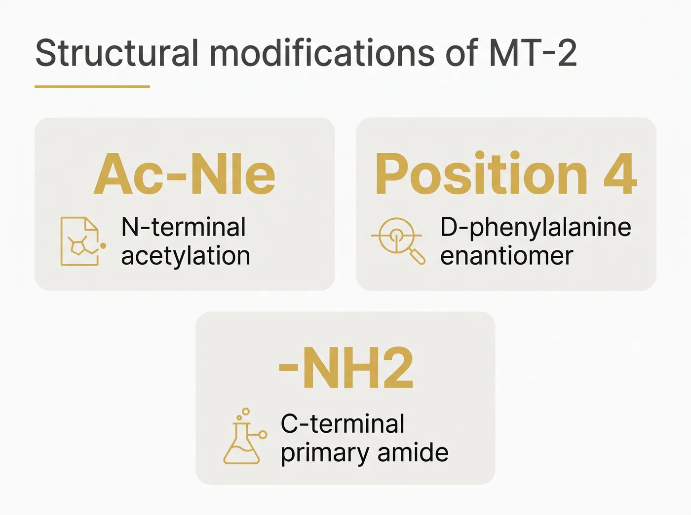 Infographic showing the three structural modifications of the MT-2 sequence.