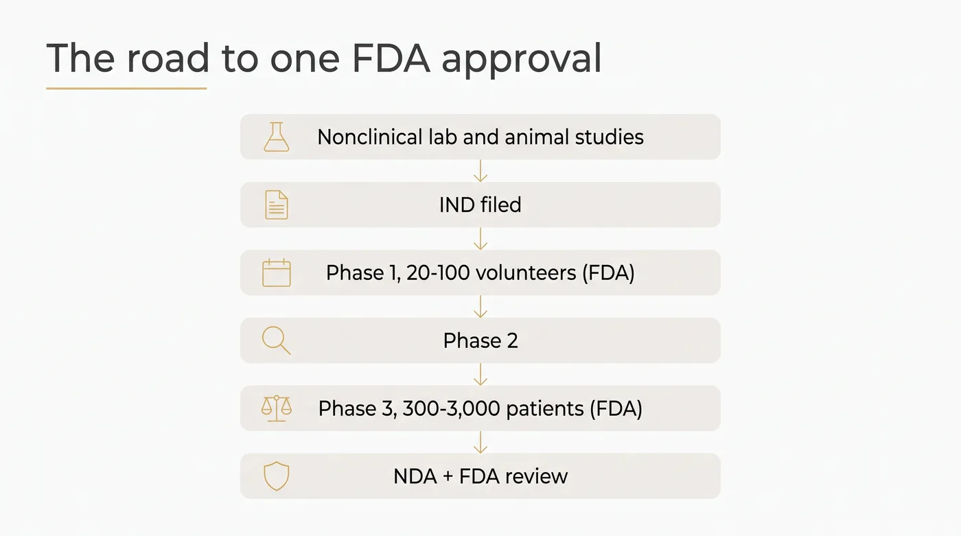 Flowchart of the FDA approval path from nonclinical studies through phase 1, 2 and 3 trials to NDA review, showing about 12 years in total, phase 3 as the costliest stage at $89.3 million, and roughly 1 in 8 candidates entering human trials reaching approval.